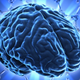 Illustration for article titled Eating less makes your brain younger